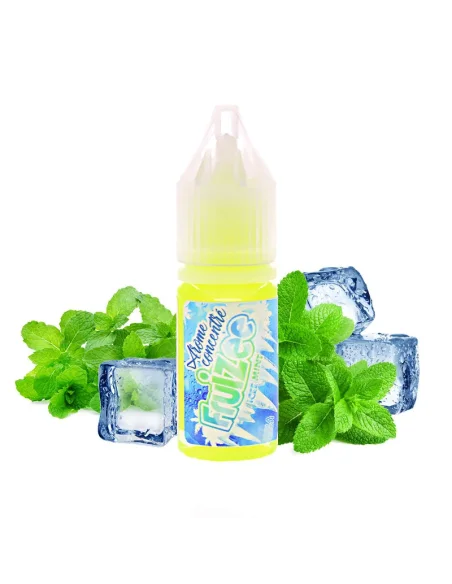 Concentré Ice mint 10ml - Eliquid France