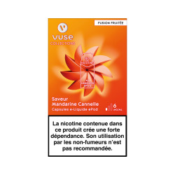 Mandarine Cannelle ePod - Vuse