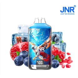 Blueberry Pomegranate ice - 28k JNR