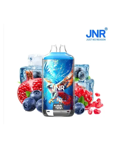 Blueberry Pomegranate ice - 28k JNR