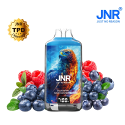 Blueberry Sour Raspberry - 28k JNR