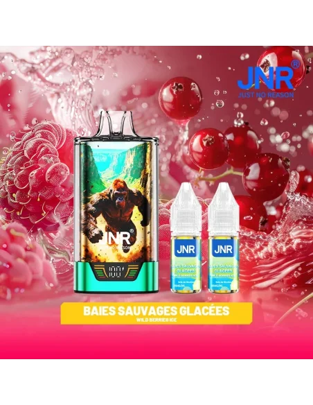 Kit Gorilla X Baies Sauvages Glacées + 2x10ml - 20mg - JNR