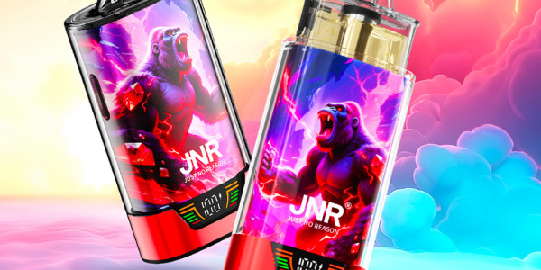 KIT JNR GORILLA X : le pod compact qui allie puissance et simplicité