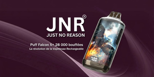 Puff Falcon X+ 28000 de JNR : test et caractéristiques 
